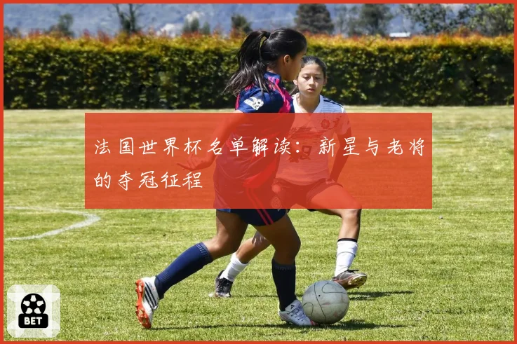 法国世界杯名单解读：新星与老将的夺冠征程