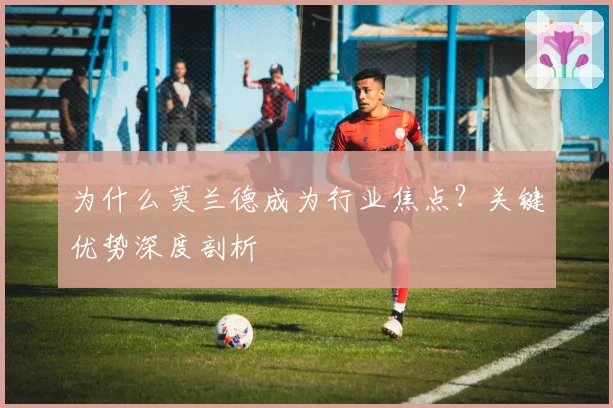 为什么莫兰德成为行业焦点？关键优势深度剖析