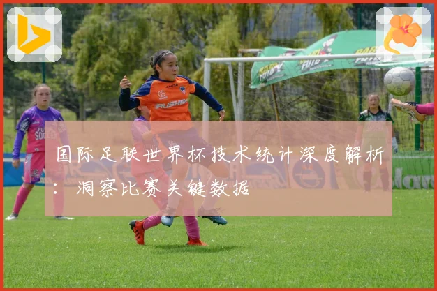 国际足联世界杯技术统计深度解析：洞察比赛关键数据