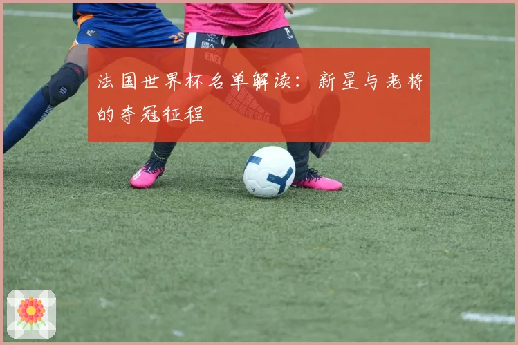 法国世界杯名单解读：新星与老将的夺冠征程
