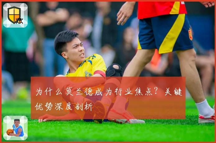 为什么莫兰德成为行业焦点？关键优势深度剖析