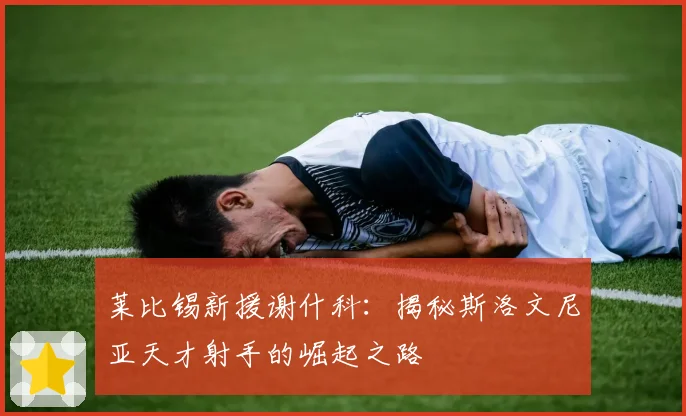莱比锡新援谢什科：揭秘斯洛文尼亚天才射手的崛起之路